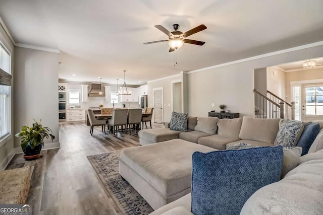 living room featuring wood-type flooring, ceiling fan with notable chandelier, and crown molding