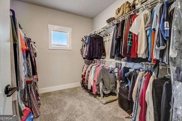 walk in closet with carpet floors