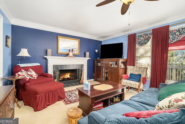 carpeted living room featuring crown molding, a fireplace, and ceiling fan