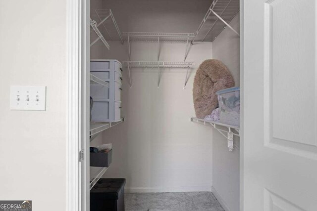 walk in closet with carpet flooring