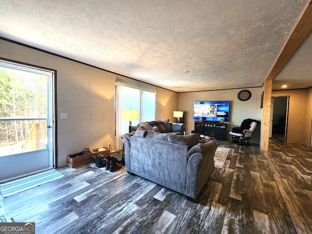 living room featuring dark hardwood / wood-style flooring and a textured ceiling