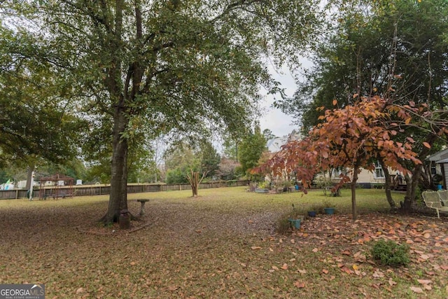 610 W Liberty, Claxton, GA 30417 - view of yard