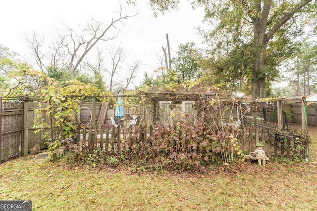 610 W Liberty, Claxton, GA 30417 - view of yard