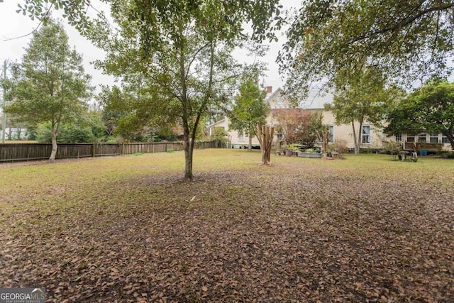 610 W Liberty, Claxton, GA 30417 - view of yard