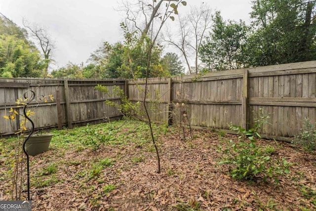 610 W Liberty, Claxton, GA 30417 - view of yard