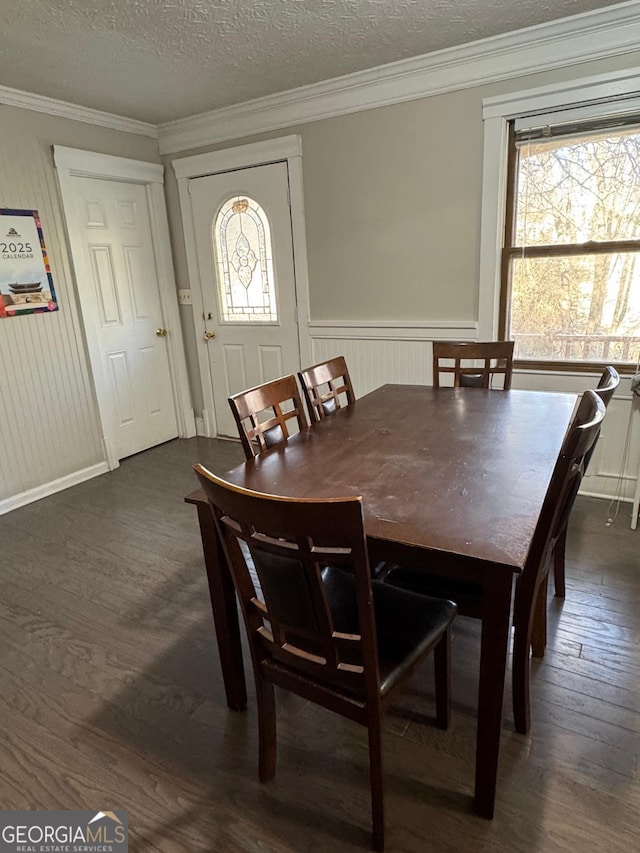 dining space featuring a textured ceiling, ornamental molding, and dark hardwood / wood-style floors