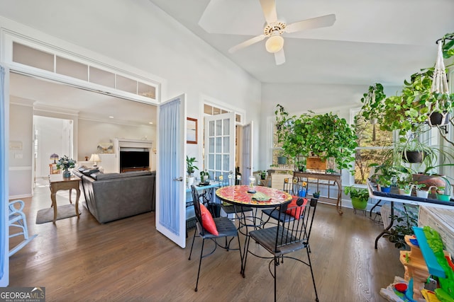 interior space with ceiling fan, french doors, and dark hardwood / wood-style floors