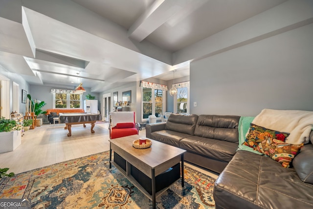 living room featuring hardwood / wood-style floors and billiards