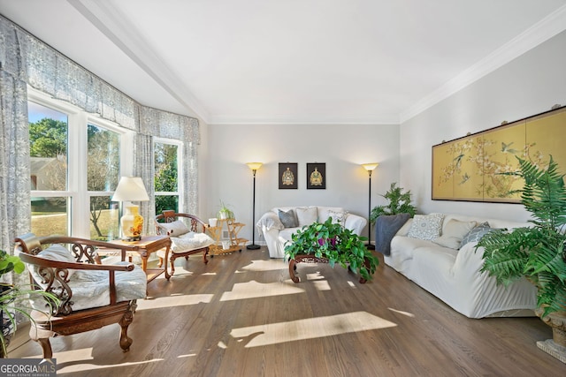 living room featuring crown molding and dark hardwood / wood-style flooring