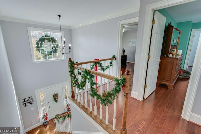 corridor with crown molding, dark wood-type flooring, and a notable chandelier