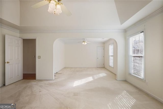 unfurnished room with light colored carpet, a raised ceiling, and ceiling fan