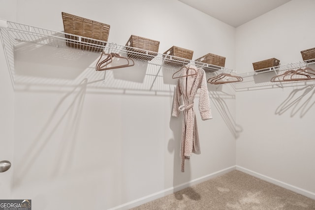 spacious closet featuring carpet