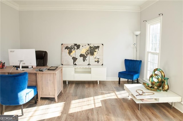 office with light wood-type flooring and crown molding