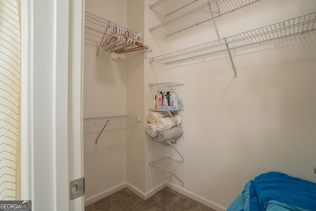 walk in closet featuring carpet flooring