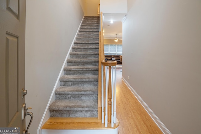 staircase with wood-type flooring and ceiling fan