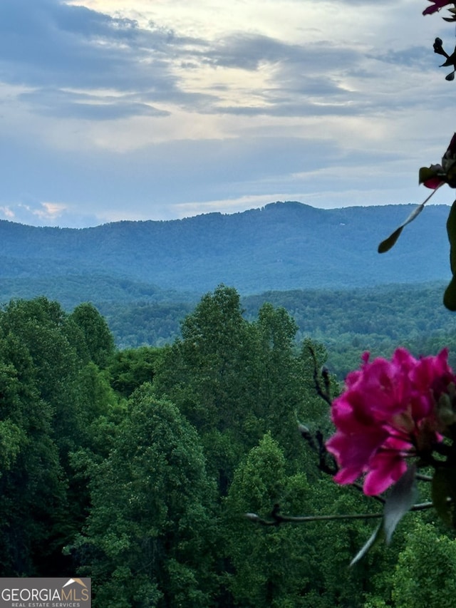 property view of mountains