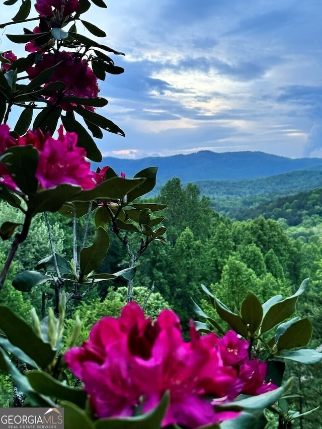 property view of mountains