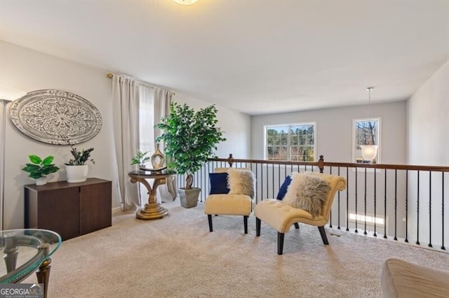 sitting room featuring carpet floors