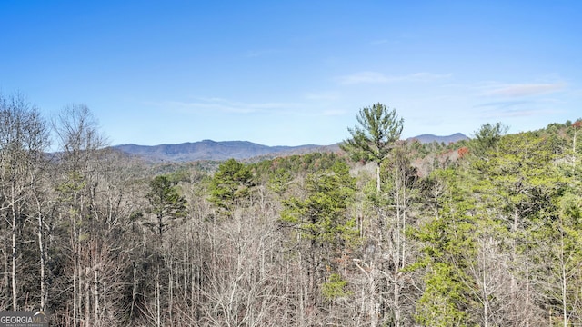 view of mountain feature