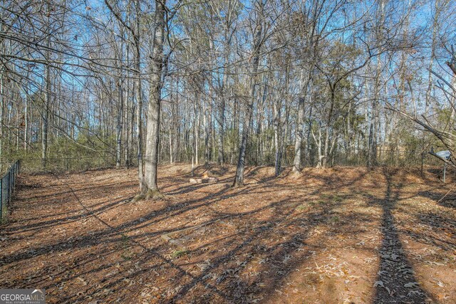 view of local wilderness