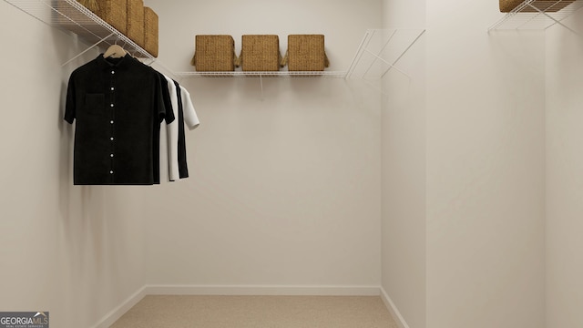 view of walk in closet