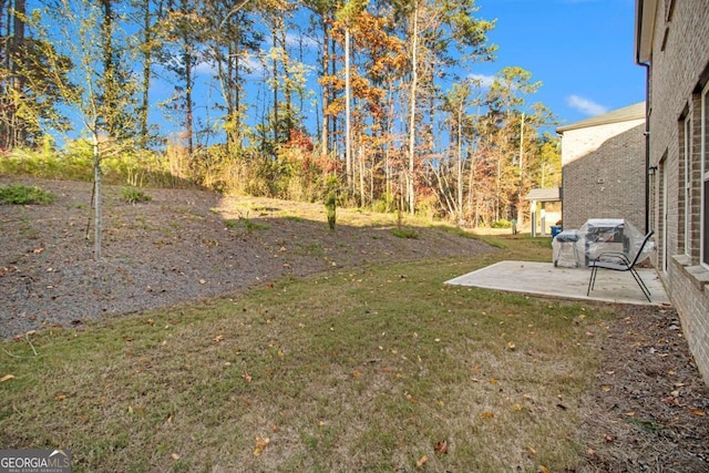 view of yard featuring a patio