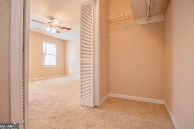 spacious closet featuring ceiling fan and light colored carpet