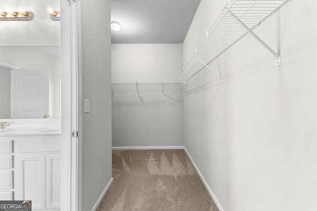 walk in closet with carpet