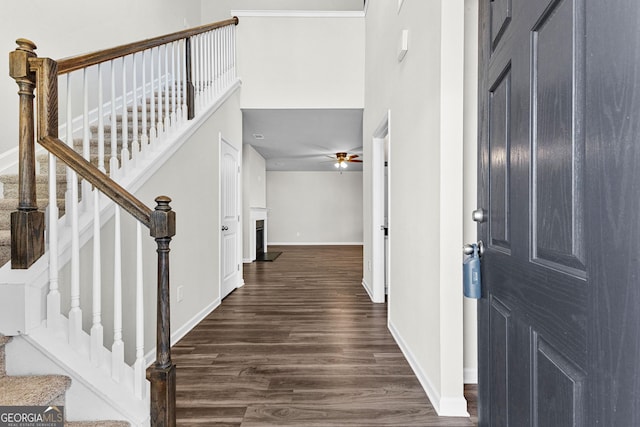 entryway featuring ceiling fan, dark hardwood / wood-style floors, and a towering ceiling