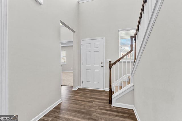 foyer featuring dark hardwood / wood-style floors and a high ceiling