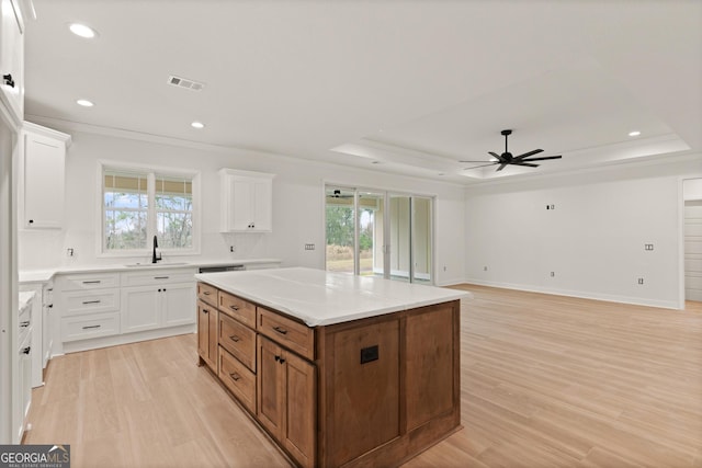 kitchen with a tray ceiling, a sink, visible vents, and white cabinets