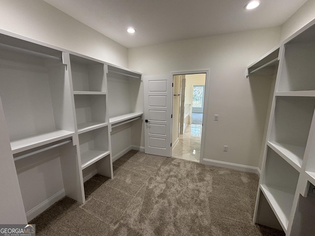 walk in closet featuring carpet flooring