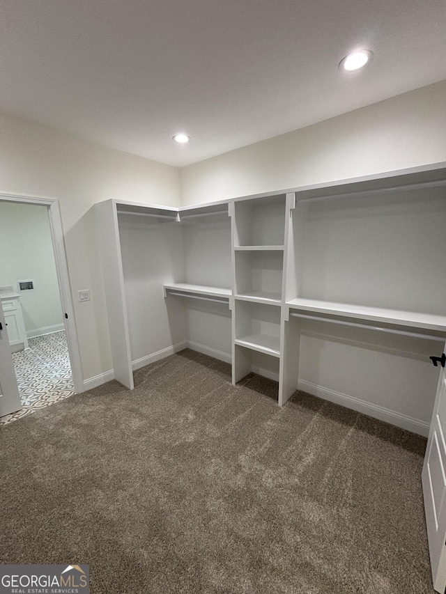 spacious closet featuring carpet floors