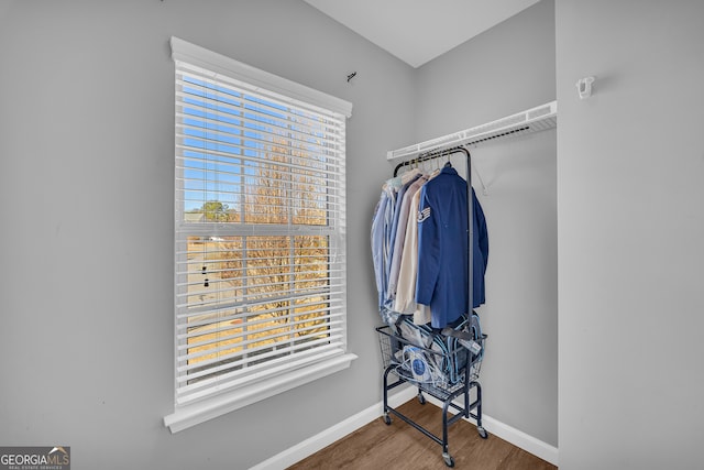 walk in closet featuring wood-type flooring