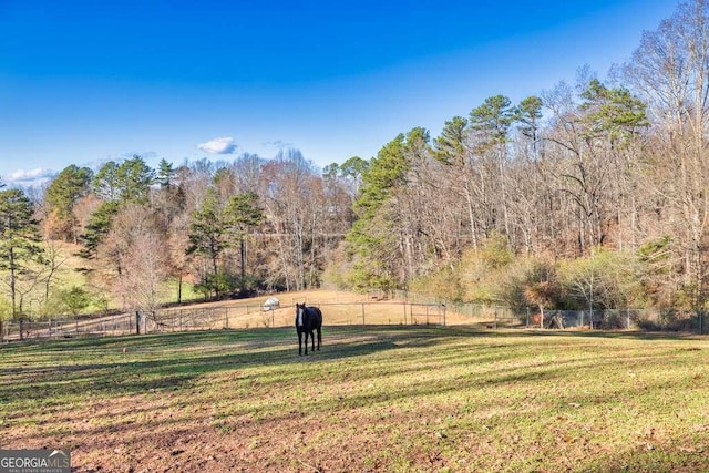 view of yard with a rural view