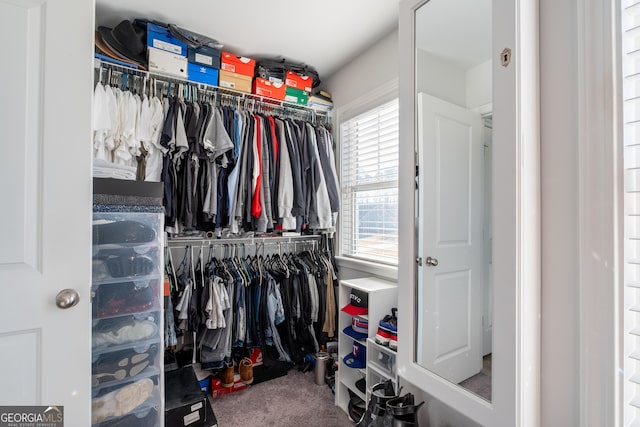 walk in closet with carpet