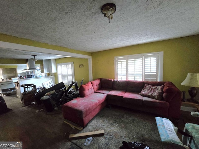 living room featuring a textured ceiling