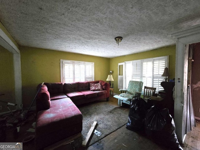 living room featuring a textured ceiling