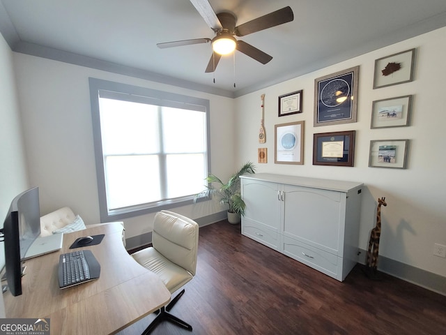 office area featuring dark hardwood / wood-style floors and ceiling fan