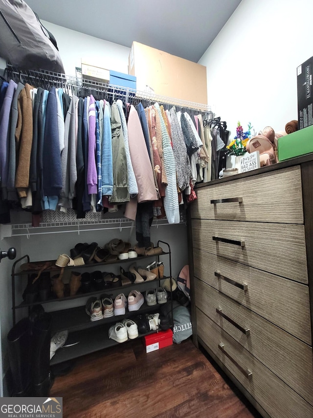 walk in closet featuring dark hardwood / wood-style floors