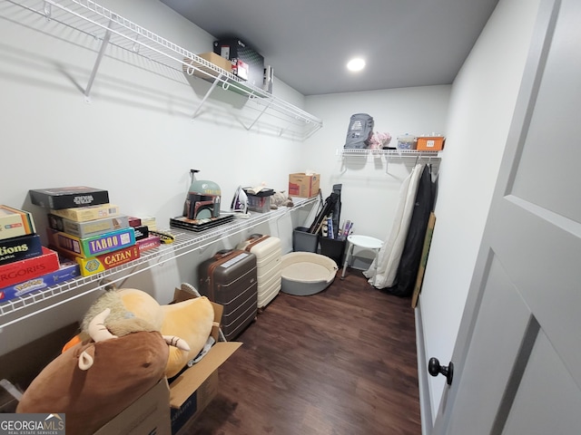 spacious closet with dark wood-type flooring