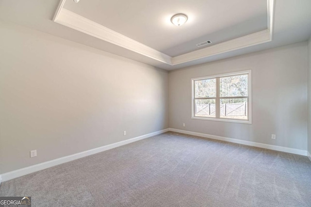 spare room featuring carpet flooring and a raised ceiling