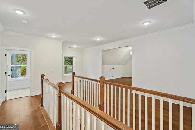 hall featuring dark wood-type flooring and crown molding