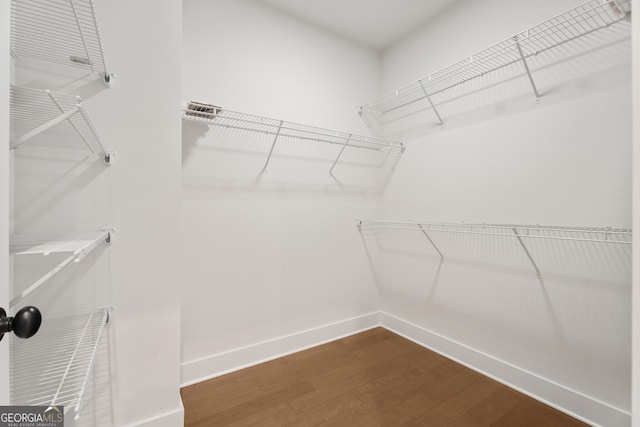 walk in closet with dark wood-type flooring