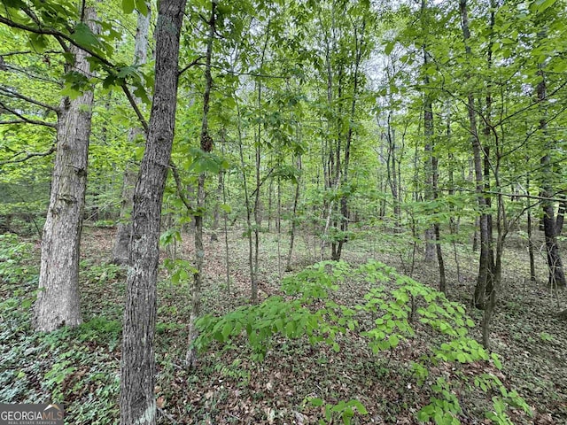 LOT13 Teel Mountain Dr, Cleveland GA, 30528 land for sale