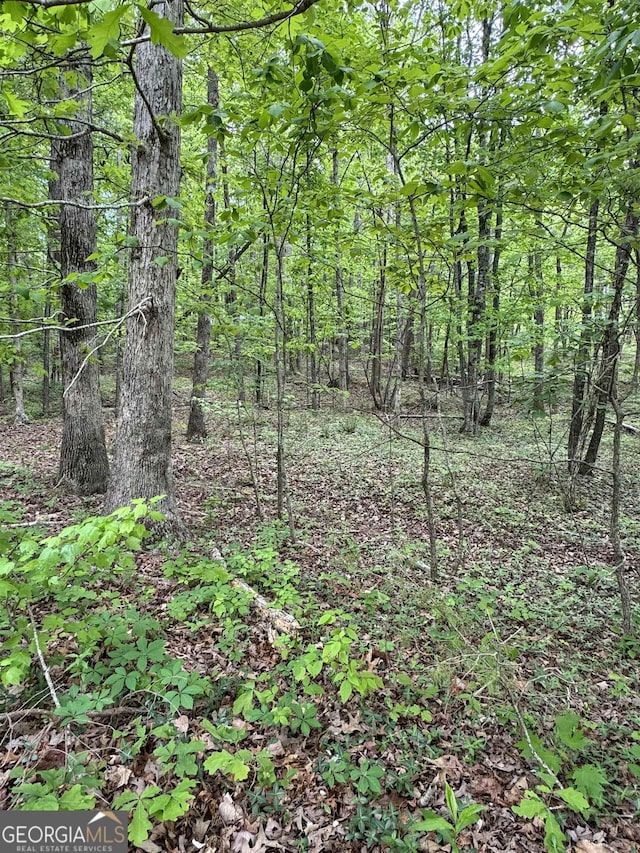 Listing photo 3 for LOT13 Teel Mountain Dr, Cleveland GA 30528