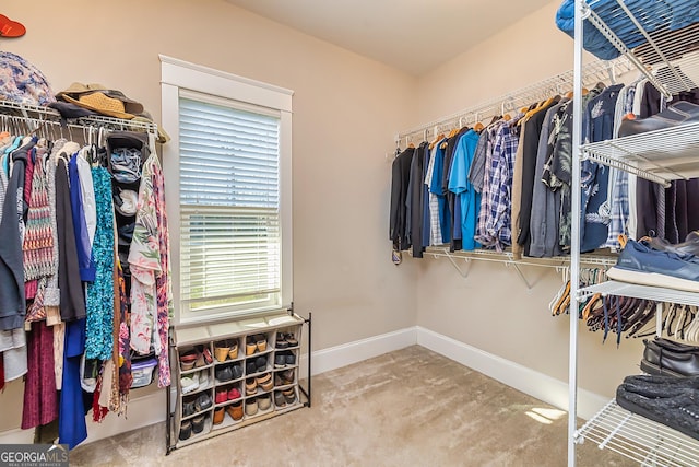 spacious closet featuring carpet flooring