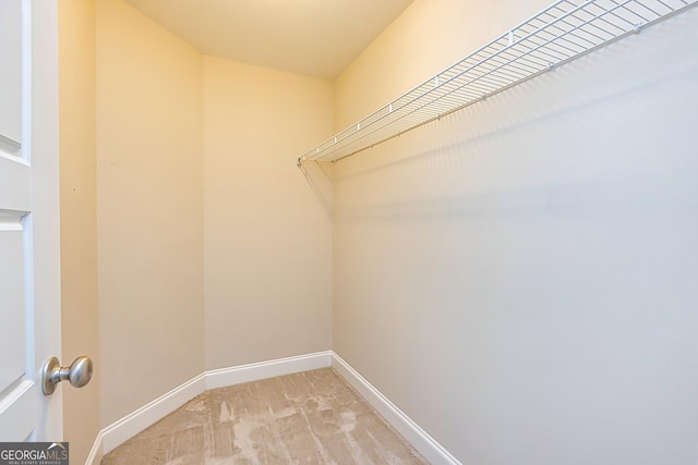 walk in closet with light carpet