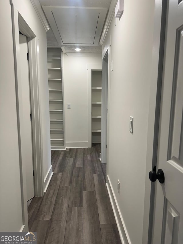 hallway with crown molding and dark hardwood / wood-style flooring