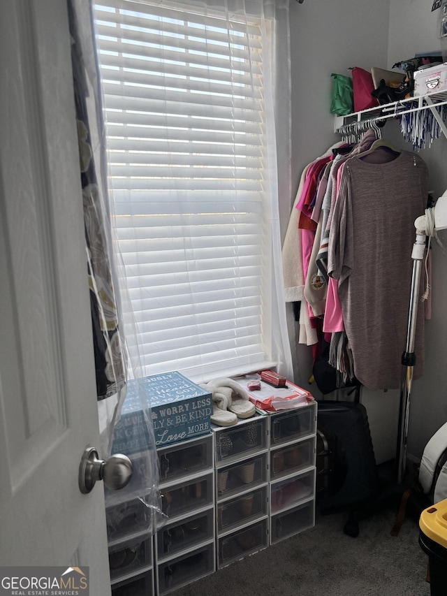 spacious closet featuring carpet floors